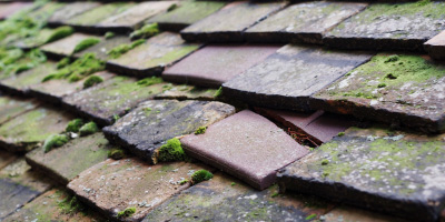 Chalton roof repair costs